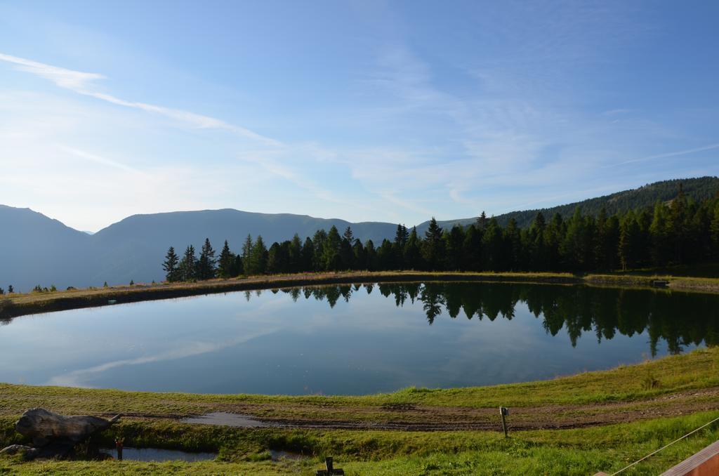 Gasthaus Rieglerhuette Sankt Lorenzen ob Murau Værelse billede